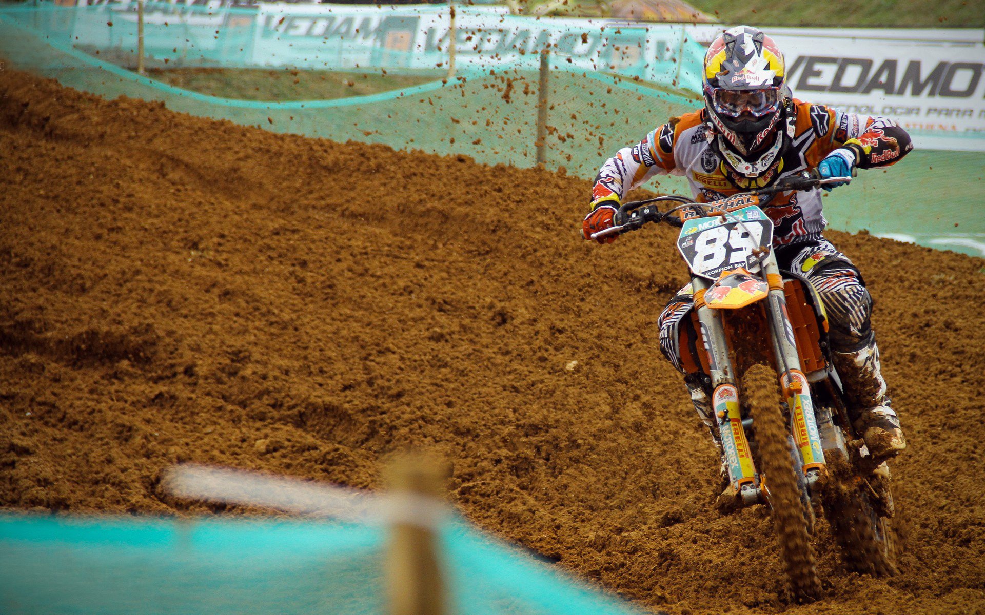 最佳阵容预测：谁可以稳坐“宝座”？